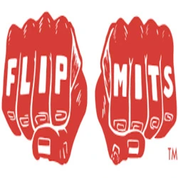 FLIPMITS logo